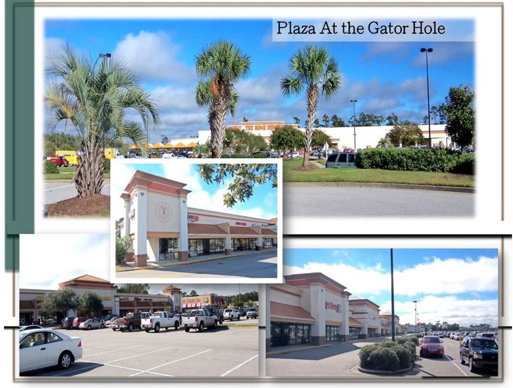 Gator Hole Plaza : 550 Highway 17 N, North Myrtle Beach, SC 29582